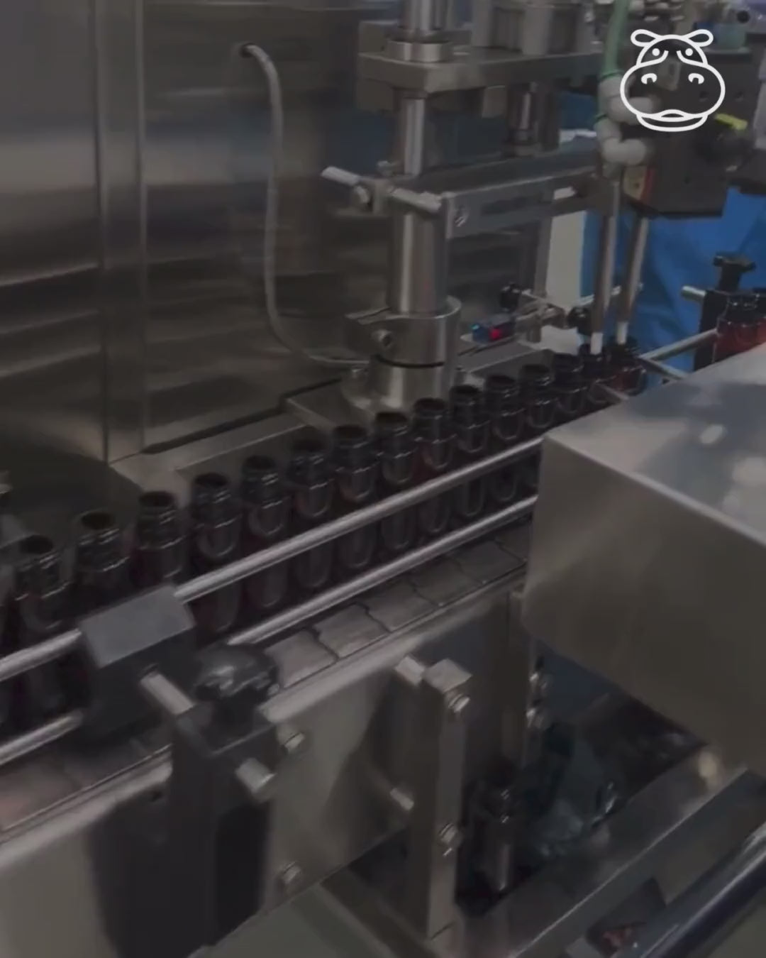factory tour by spot hippo