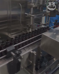 factory tour by spot hippo